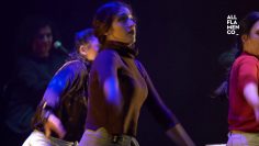 Privado: [ID: S2zQu4fdBlo] Youtube Automatic