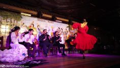 Privado: [ID: tULXzkVZ3Lc] Youtube Automatic