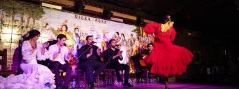 Privado: [ID: tULXzkVZ3Lc] Youtube Automatic