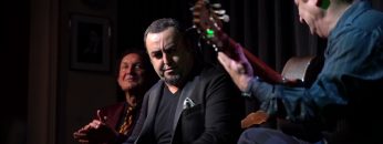 Privado: [ID: Y3RO0Cl_0_o] Youtube Automatic