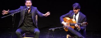 Privado: [ID: 8MUjIiEkGMQ] Youtube Automatic