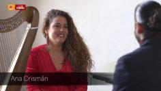 Privado: [ID: cEDNKFXtKmQ] Youtube Automatic