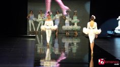 Privado: [ID: cSM8w-BWQ_c] Youtube Automatic