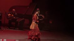 Privado: [ID: Jo5BtoOLMpo] Youtube Automatic