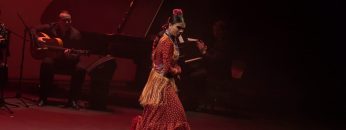 Privado: [ID: Jo5BtoOLMpo] Youtube Automatic