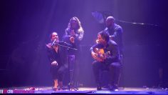 Privado: [ID: ND5Gr20YX3Q] Youtube Automatic