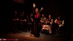 Privado: [ID: Qx1-Vnhn7kc] Youtube Automatic