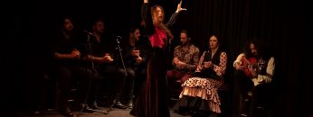 Privado: [ID: Qx1-Vnhn7kc] Youtube Automatic