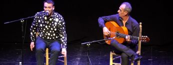 Privado: [ID: Rj_ovbh39XE] Youtube Automatic