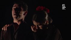 Privado: [ID: zUX7aQEzMQ8] Youtube Automatic