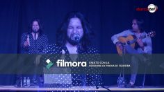 [ID: JOjiiCu_LCg] Youtube Automatic