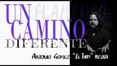 [ID: N1asY9gFVbQ] Youtube Automatic