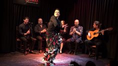 Privado: [ID: 0p8lPVkQKbY] Youtube Automatic