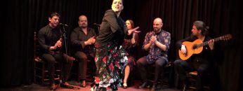 Privado: [ID: 0p8lPVkQKbY] Youtube Automatic