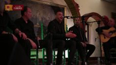 Privado: [ID: 2ubeQ4TrhkE] Youtube Automatic