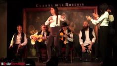 Privado: [ID: JhAcUTAOG1Y] Youtube Automatic