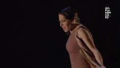 Privado: [ID: nZyzXS8v1A8] Youtube Automatic