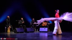 Privado: [ID: PGv4V3CeD2o] Youtube Automatic