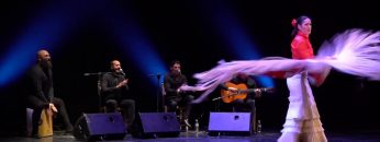 Privado: [ID: PGv4V3CeD2o] Youtube Automatic