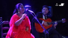 [ID: dSKop55A-p8] Youtube Automatic