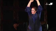 [ID: SyzFLemD9hg] Youtube Automatic