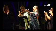 [ID: uo4aWDtKsCg] Youtube Automatic