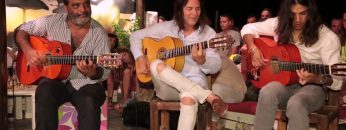 Privado: [ID: 17rzdfxAkMs] Youtube Automatic