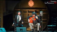 Privado: [ID: CS76Q1plXuY] Youtube Automatic