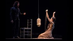 Privado: [ID: fobeFZW7Nz8] Youtube Automatic