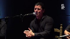 Privado: [ID: GH_RLOeIJIg] Youtube Automatic