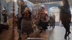 Privado: [ID: rUsEVrZT0kY] Youtube Automatic