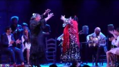 Privado: [ID: tJO3W2RnCug] Youtube Automatic