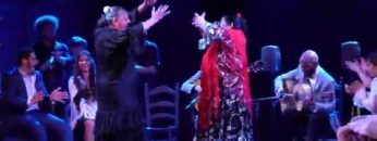 Privado: [ID: tJO3W2RnCug] Youtube Automatic