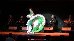 Privado: [ID: 0H-FfESI51Y] Youtube Automatic