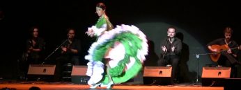 Privado: [ID: 0H-FfESI51Y] Youtube Automatic