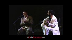 Privado: [ID: 66iS-gQZkkc] Youtube Automatic