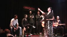 Privado: [ID: dtbr1hwAHo8] Youtube Automatic