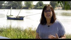 Privado: [ID: DYCFPn_4Gus] Youtube Automatic