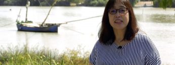 Privado: [ID: DYCFPn_4Gus] Youtube Automatic