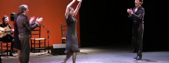 Privado: [ID: fdvNCn-yki0] Youtube Automatic