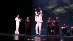 Privado: [ID: fwWQ2uPyaOE] Youtube Automatic