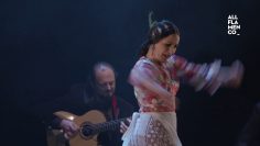 Privado: [ID: HjXgu17lPks] Youtube Automatic