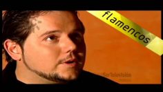 Privado: [ID: JBw3fPTUe9Q] Youtube Automatic