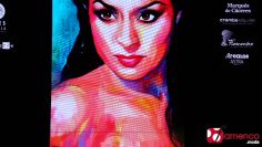 Privado: [ID: Oyt-miP4e_A] Youtube Automatic