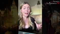 Privado: [ID: q-NFioKLMVw] Youtube Automatic