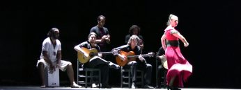 Privado: [ID: rcK63ZU8k_w] Youtube Automatic