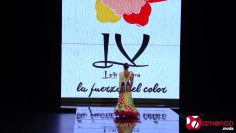 Privado: [ID: xiwywbVgdU4] Youtube Automatic