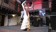 Privado: [ID: 8MkokqNOXpk] Youtube Automatic