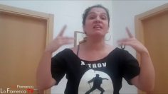 Privado: [ID: TX6YxMAkT7A] Youtube Automatic