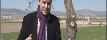 Privado: [ID: tAzXE9tb8U0] Youtube Automatic